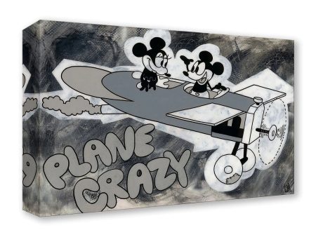 Disney  Plane Crazy  Online Hot Sale