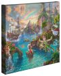 Disney Peter Pan s Neverland  For Sale